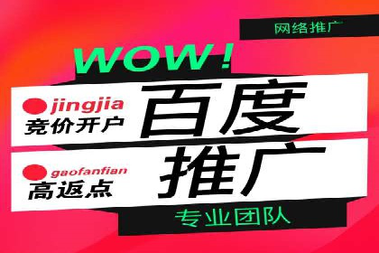 百度竞价案例：精准定位目标客户的秘诀